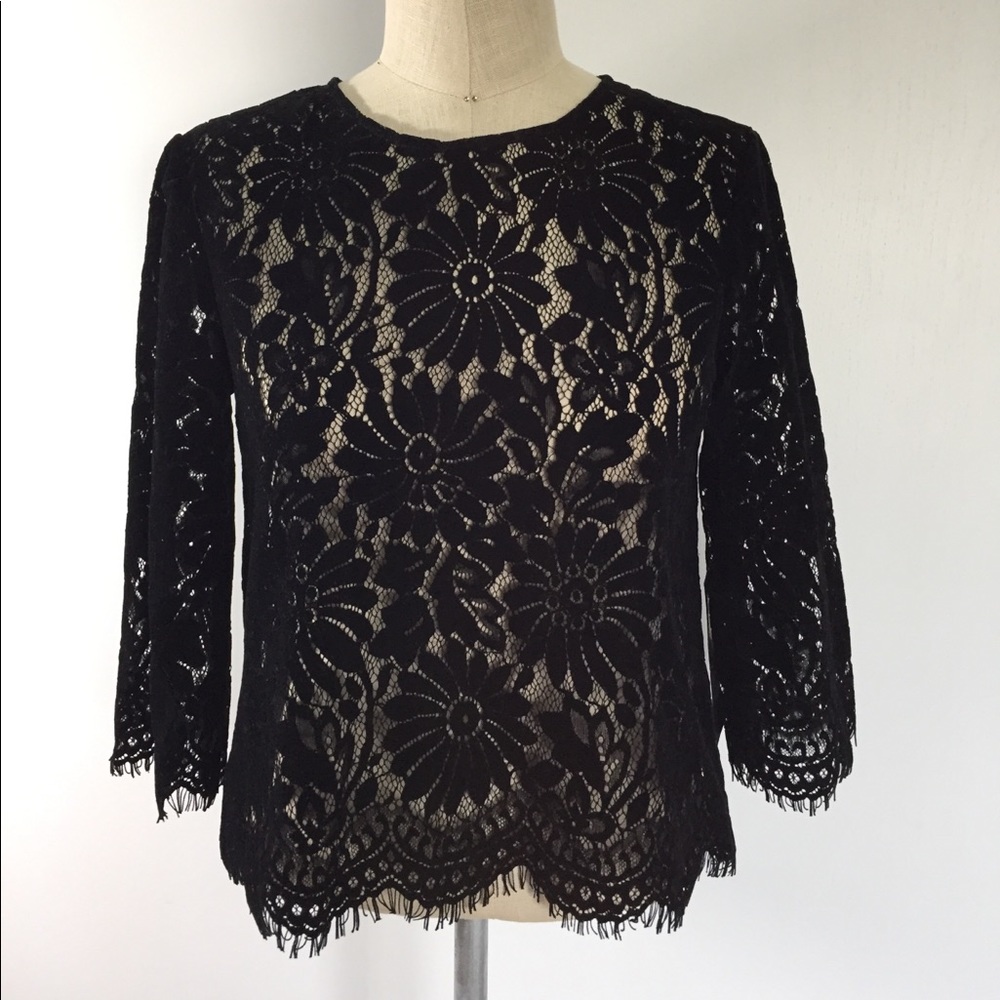 Zara lace Velvety blouse 3/4 sleeve sleeve NWT XS